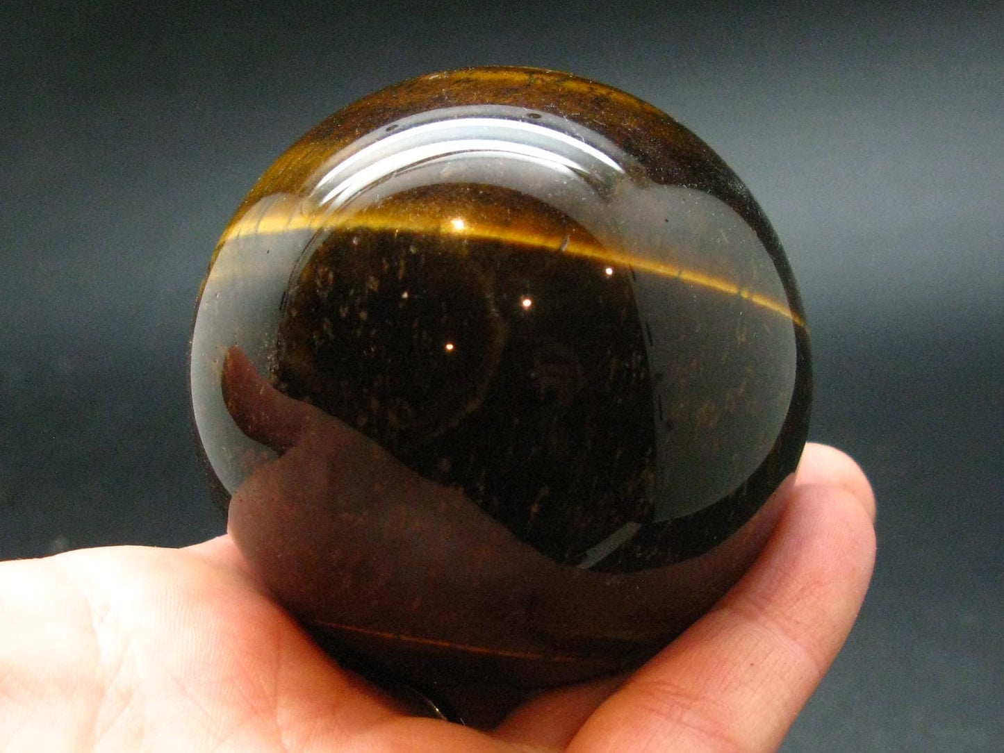 Tiger Eye Sphere From South Africa - 2.2"