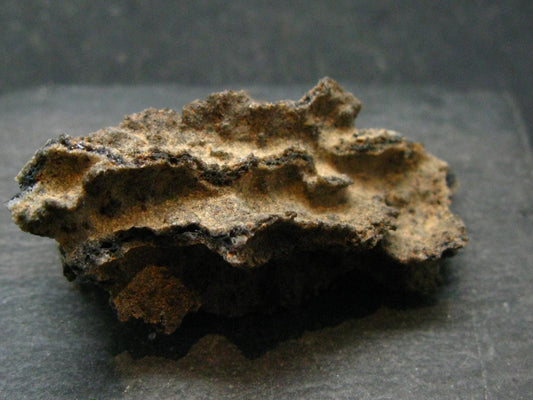 Large Fulgurite Lightning Rock From Sahara Desert - 2.5"