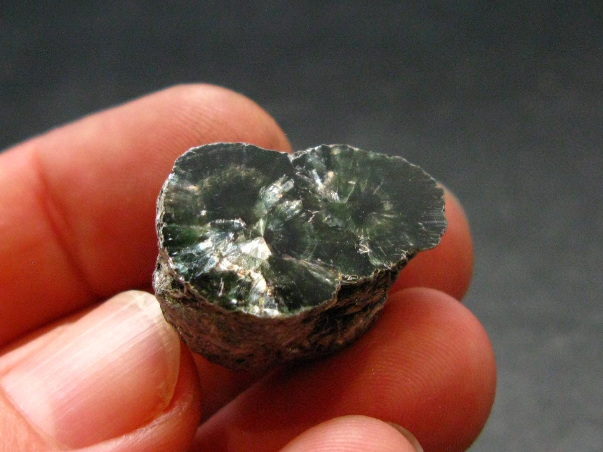 Nice Polished Seraphinite Clinochlore Stalactite From Russia - 0.9" - 6.52 Grams