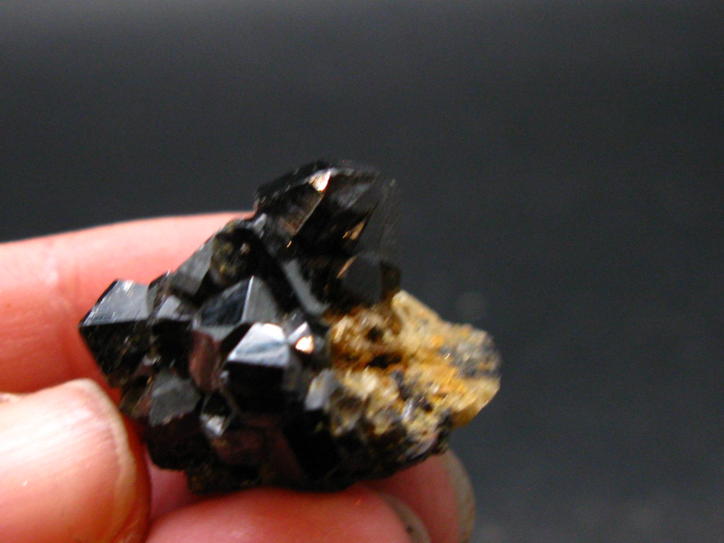 Cassiterite Crystal From Bolivia - 1.0" - 14.47 Grams