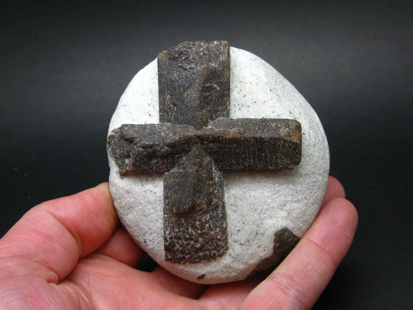 A Perfect Staurolite Crystal on Matrix from Russia - 3.6" - 431 Grams