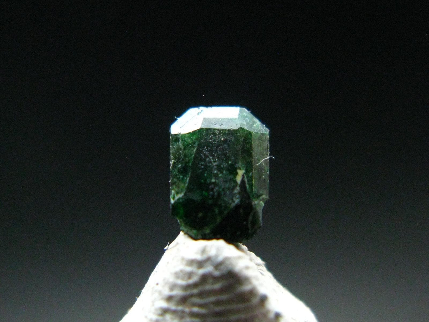 Rare Gem Uvarovite Garnet Cut Stone from Afghanistan - 0.28 Carats