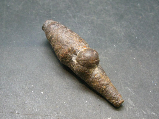 Rare Prophecy Stone Limonite after Pyrite From Egypt - 2.6" - 36.0 Grams