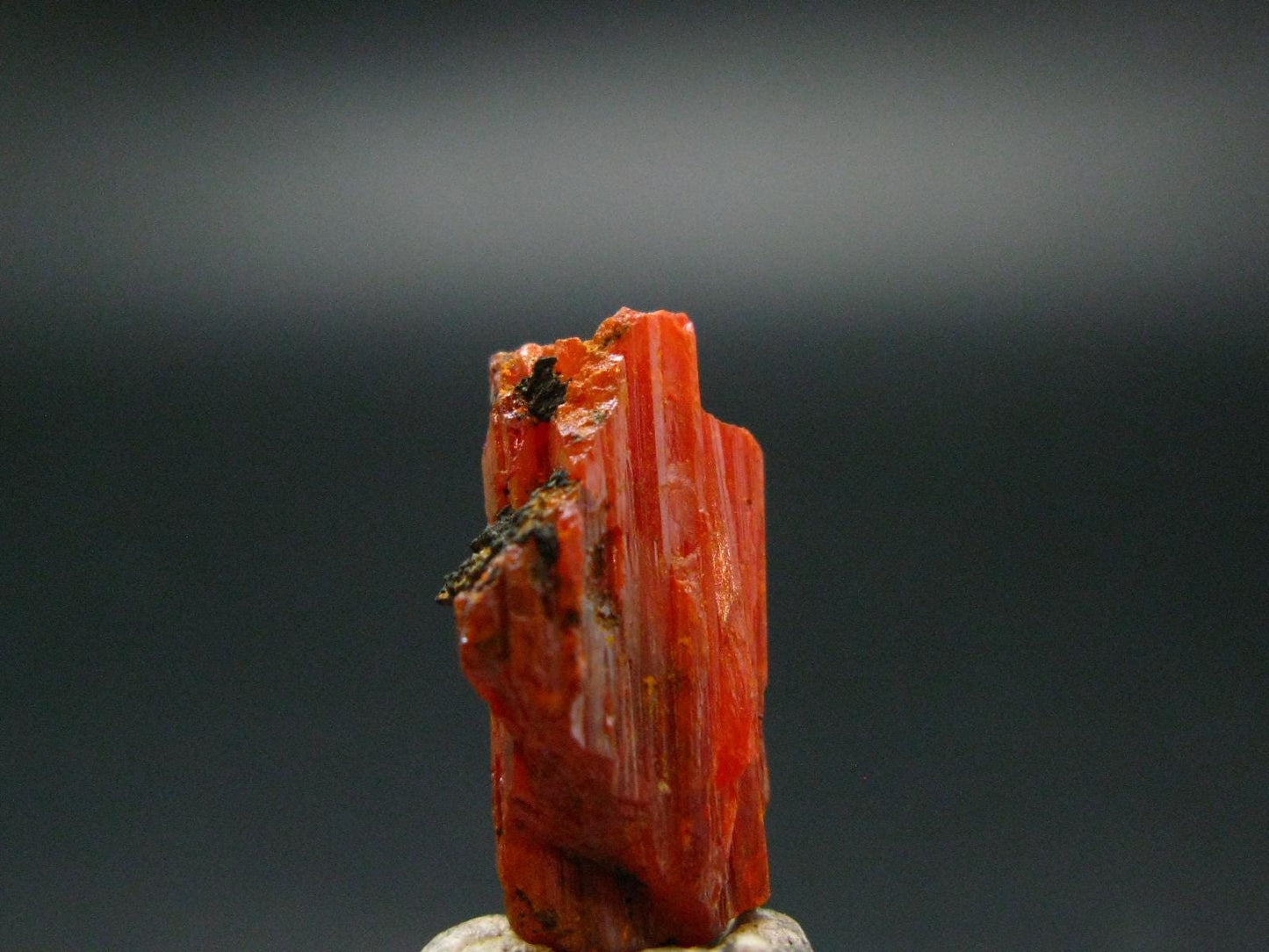 Large Orange Crocoite Crystal From Australia - 0.7" - 13.60 Carats