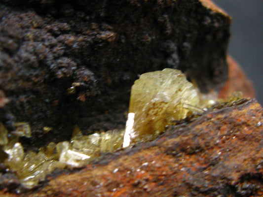 Adamite cluster From Mexico - 2.2"