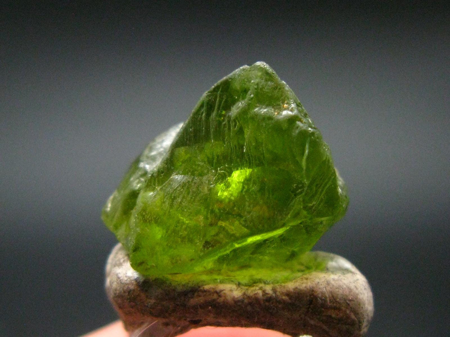 Rare 14.40 Carat Gem Peridot Olivine Crystal from Arizona, USA - 0.5"