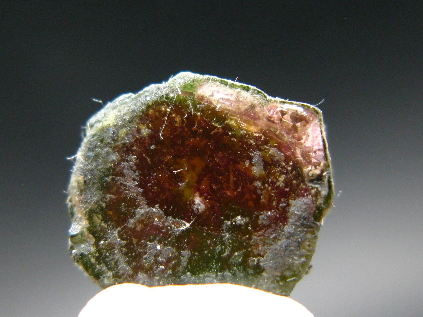 Rare Watermelon Tourmaline Crystal Slice From Brazil - 4.41 Carats