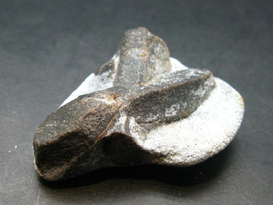 A Perfect Staurolite Crystal from Russia - 1.9" - 36.0 Grams