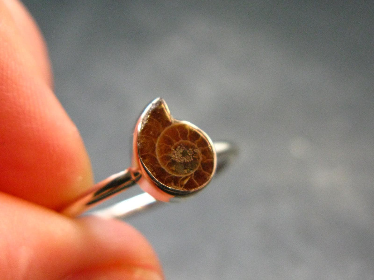 Natural Whole Polished Agatized Ammonite Cleoniceras Sterling Silver Ring from Madagascar - 1.97 Grams - Size 9