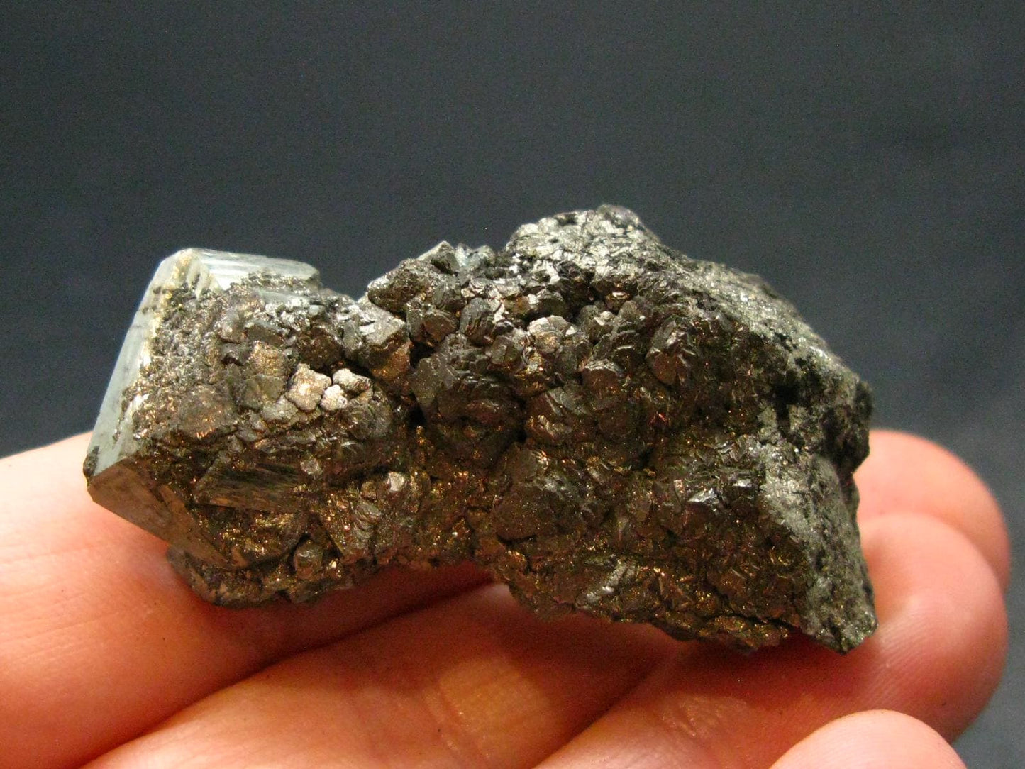 Very Rare Marcasite Cluster from Czech Republic - 1.7" - 30.74 Grams
