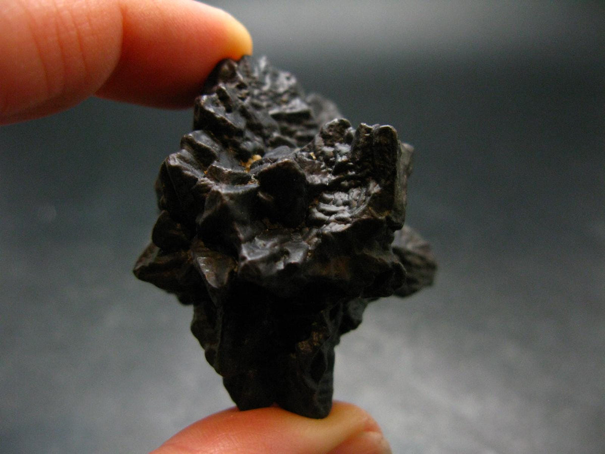 Very rare Z-Stone (Limonite after Marcasite) from Sahara Dessert, Egypt - 1.6" - 56.17 Grams