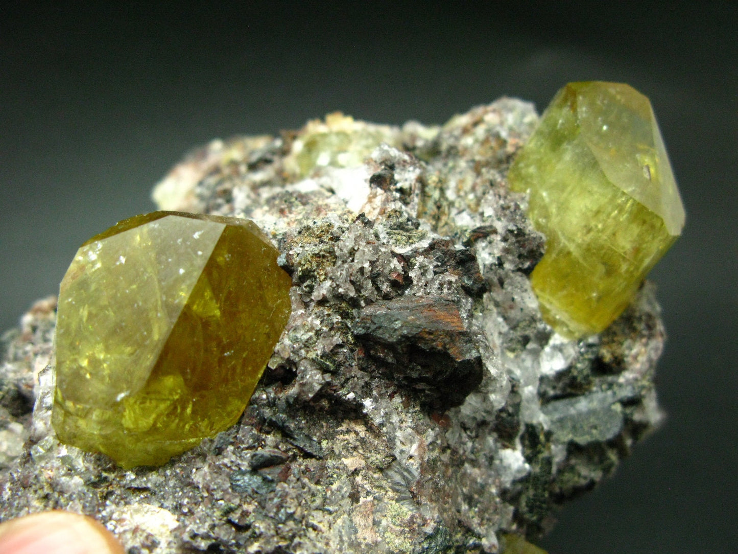 Museum Golden Apatite Cluster From Mexico - 4.8"