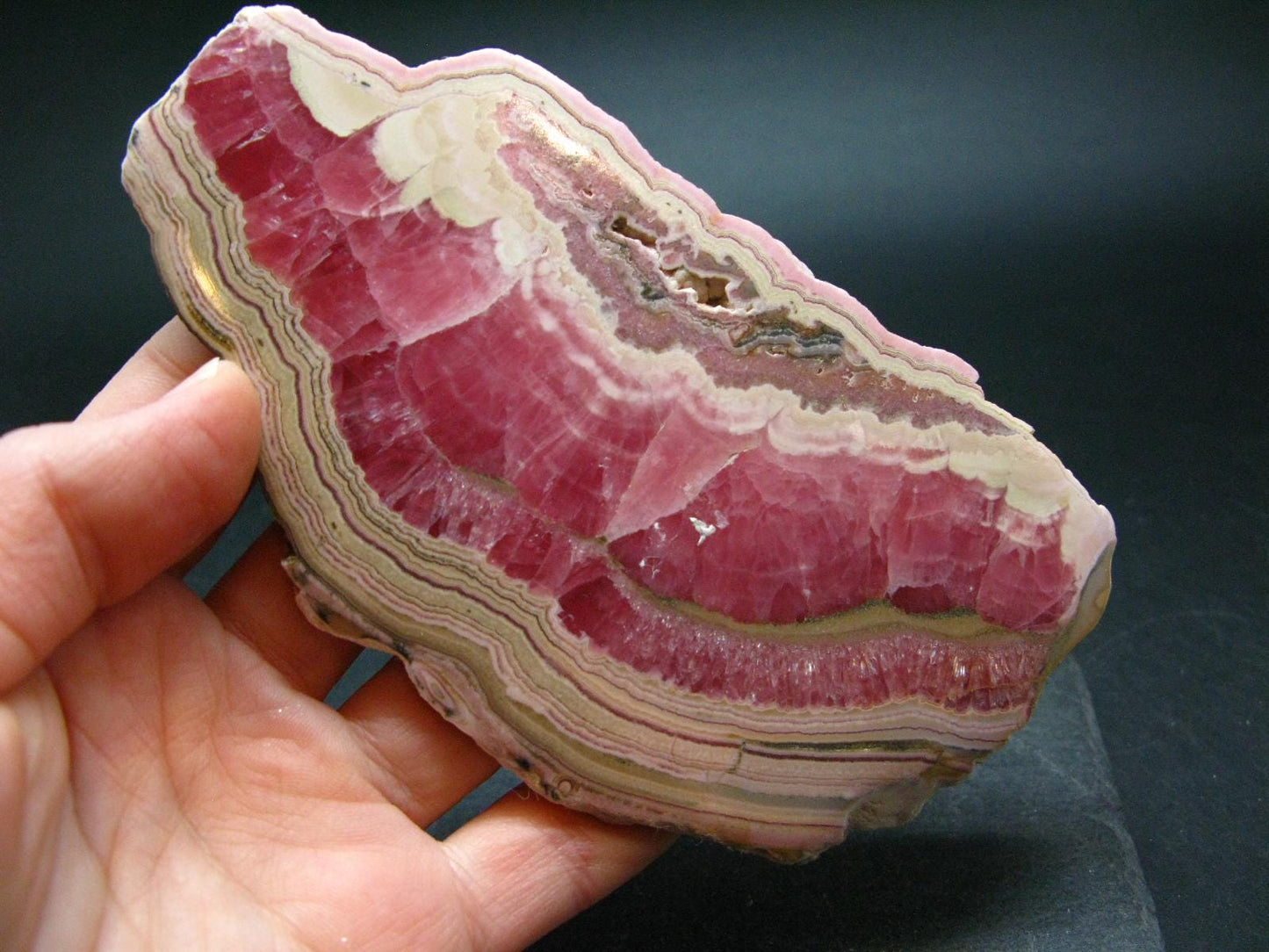 Rhodochrosite Large Slab From Argentina - 4.8"