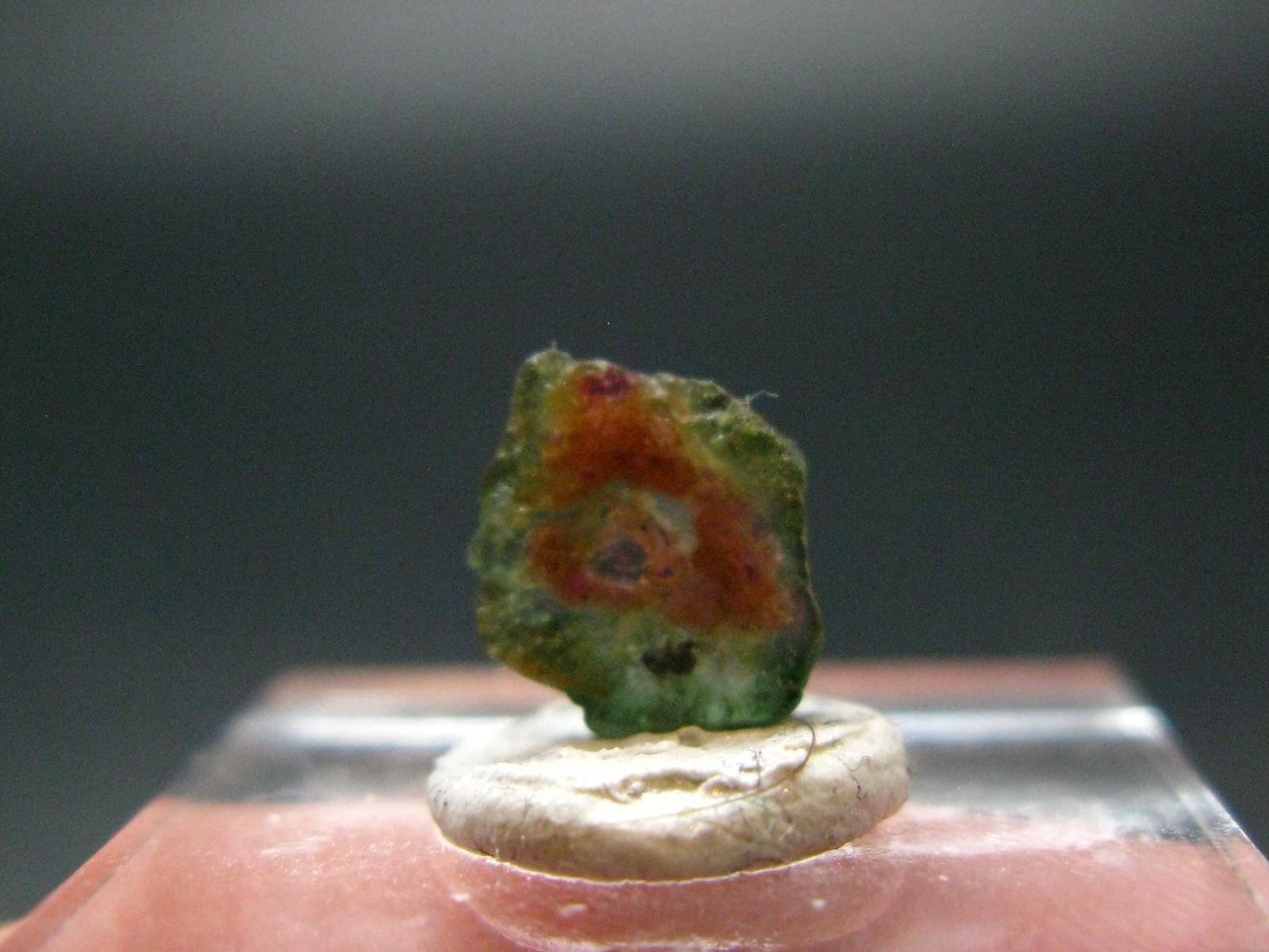 Rare Watermelon Tourmaline Crystal Slice From Brazil - 1.35 Carats