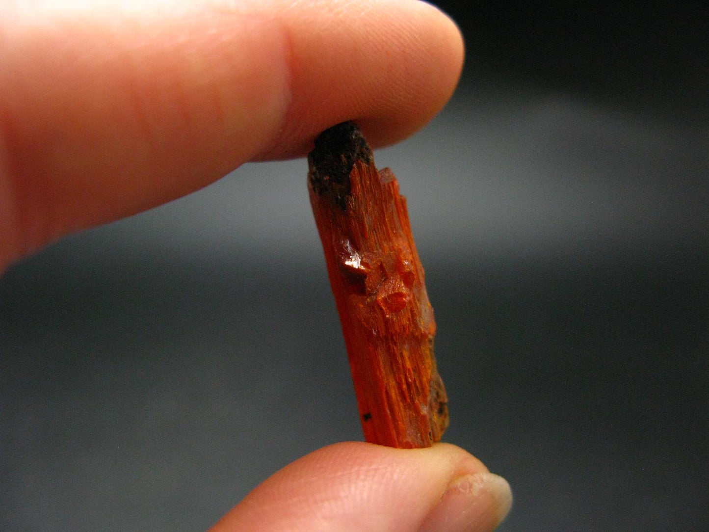 Large Orange Crocoite Crystal From Australia - 1.0" - 20.35 Carats