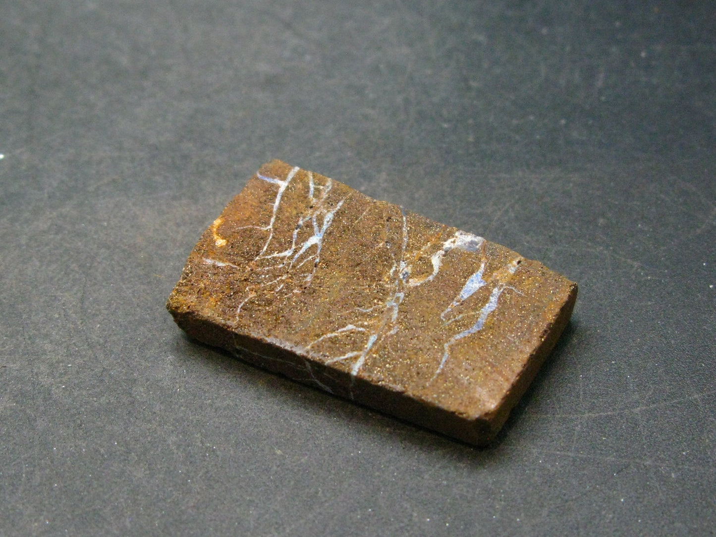 Rare Boulder Opal Piece from Australia - 1.6" - 16.1 Grams