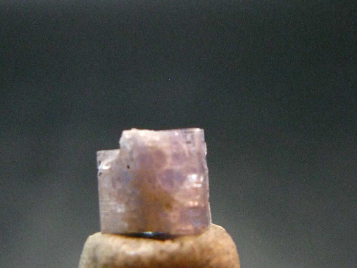 Fine Rare Carletonite Crystal From Mt. St. Hilaire Canada - 0.3" - 0.25 Grams