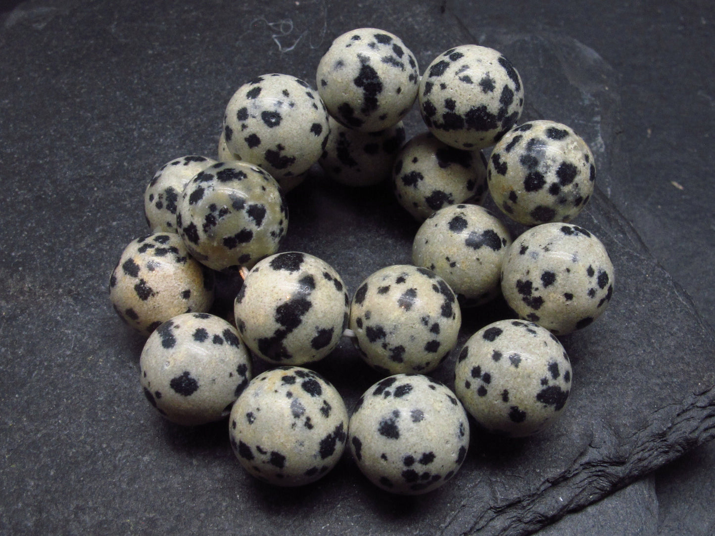 Dalmation Jasper Genuine Bracelet ~ 7 Inches ~ 10mm Round Beads