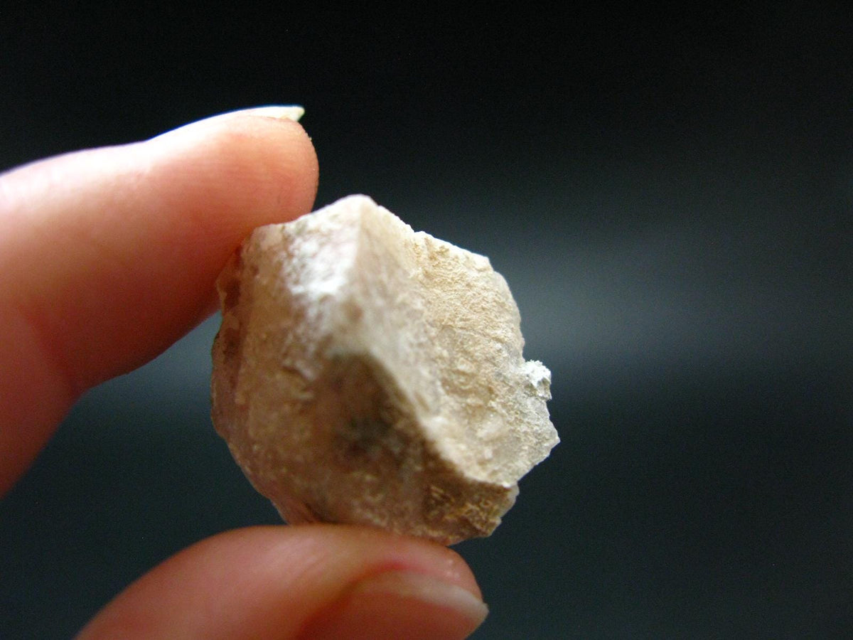 Phenakite Phenacite Crystal from Brazil - 6.67 Grams - 0.9"