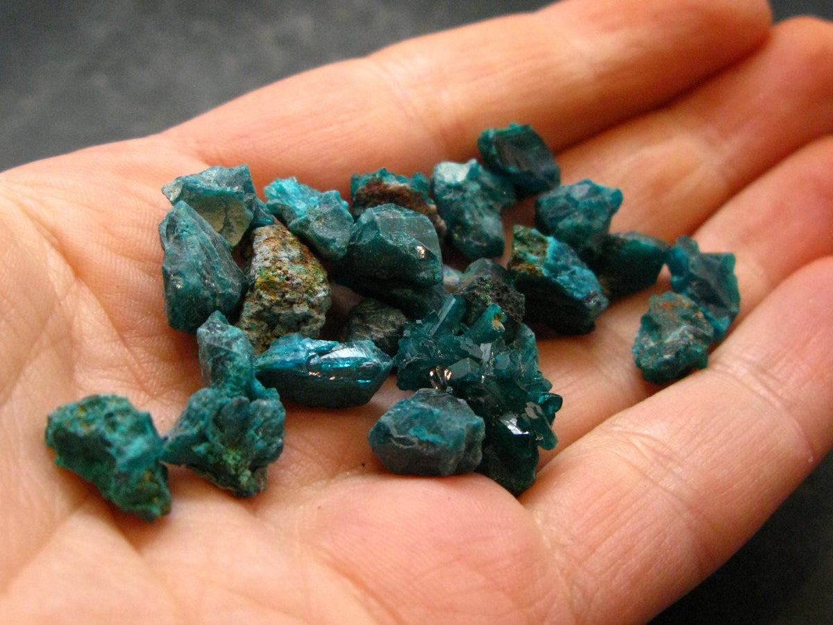 Very Nice Lot of 10 Dioptase Crystals from Congo - 132.0 Grams