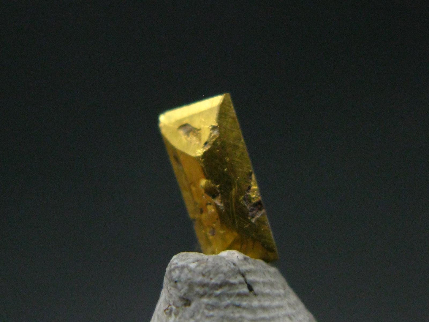 Rare Gem Native Gold Cut Stone from USA - 1.82 Carats