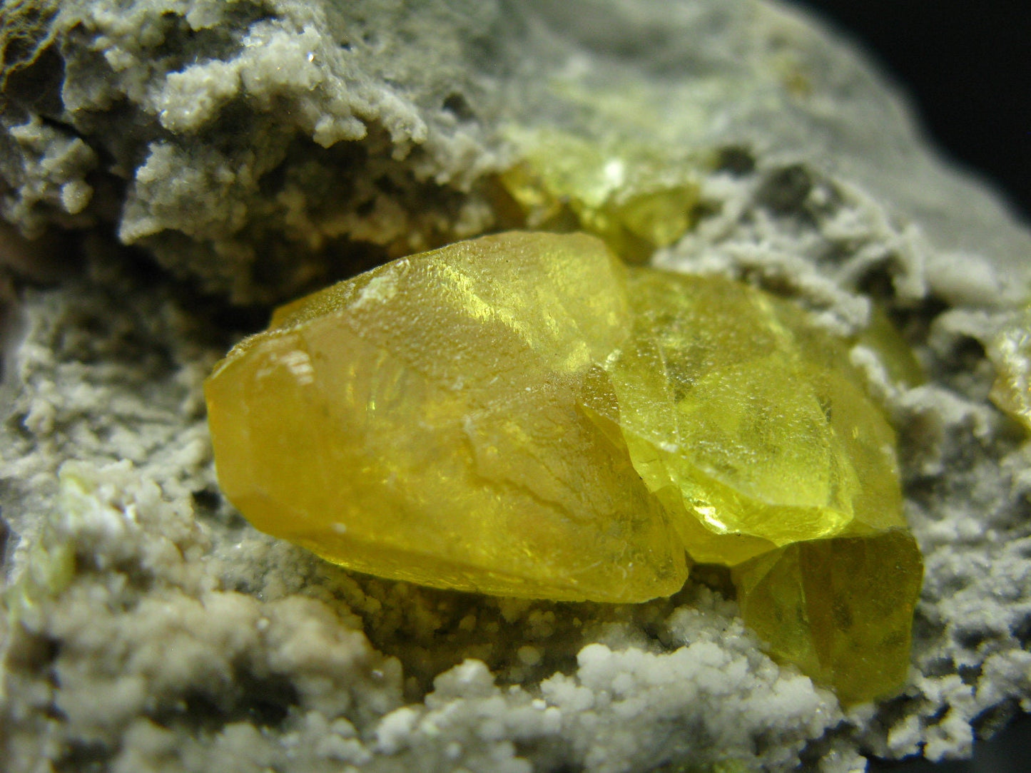 Large Yellow Sulphur Sulfur Cluster Italy - 2.8"
