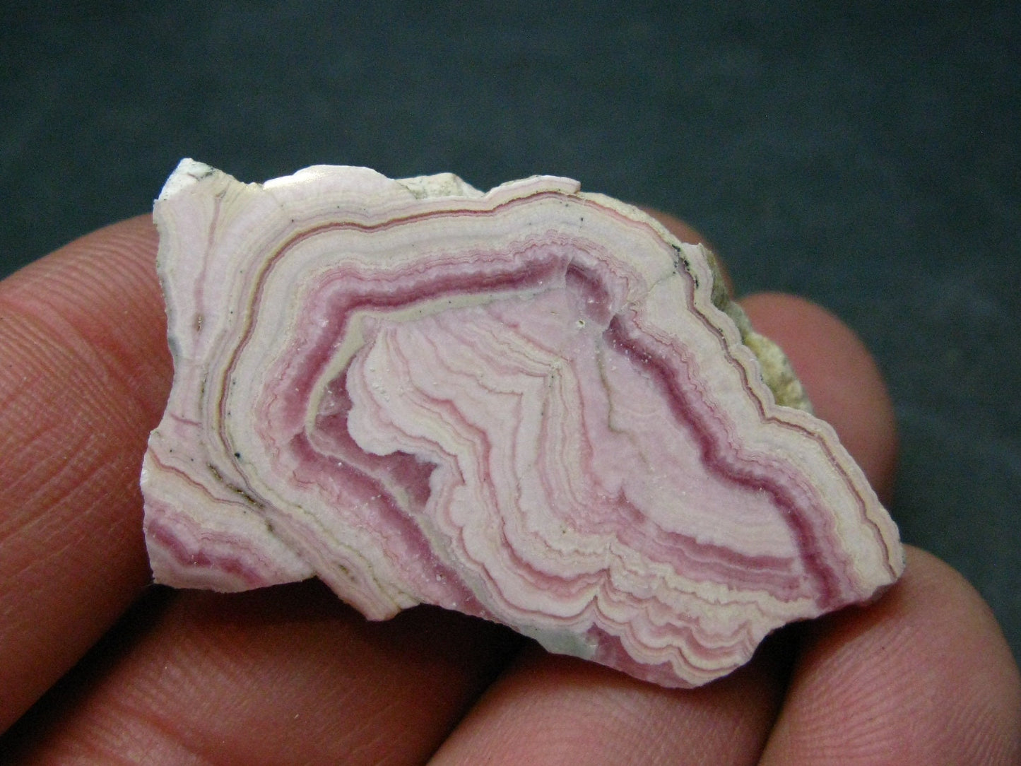 Rhodochrosite Stalactite From Argentina - 1.7" - 19.7 Grams