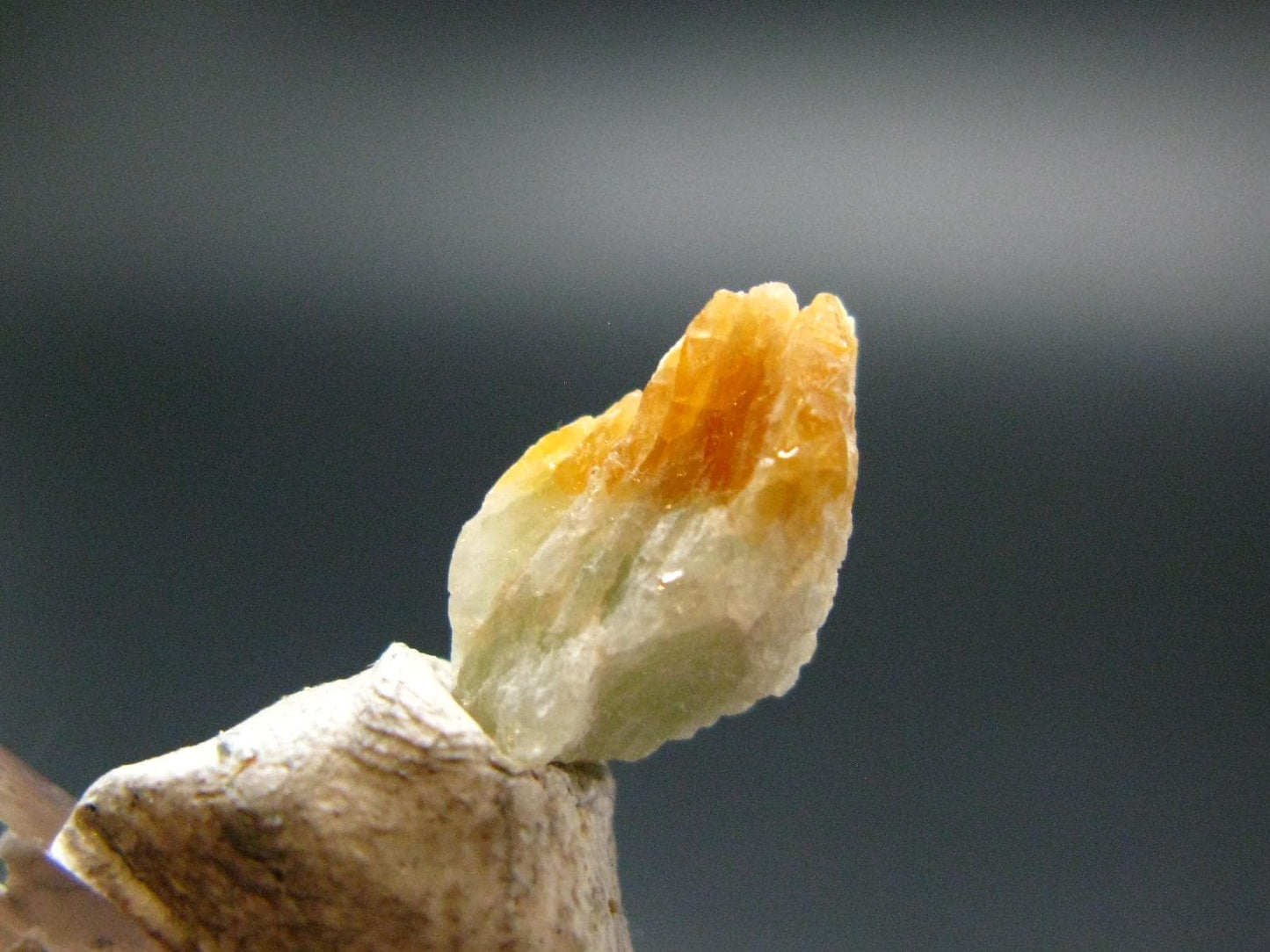 Johachidolite Crystal from Mogok - 0.5" - 0.81 Grams
