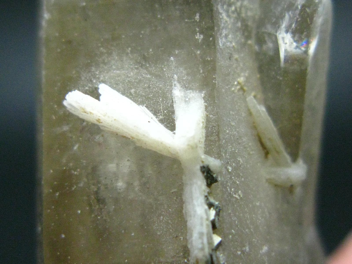 Bertrandite on Quartz cluster from Russia - 2.5"