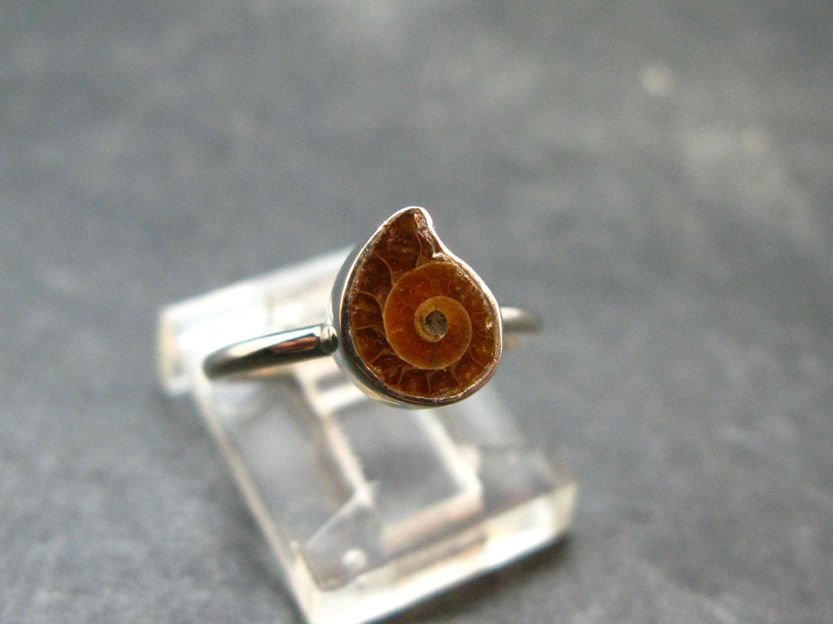 Natural Whole Polished Agatized Ammonite Cleoniceras Sterling Silver Ring from Madagascar - 1.56 Grams - Size 4