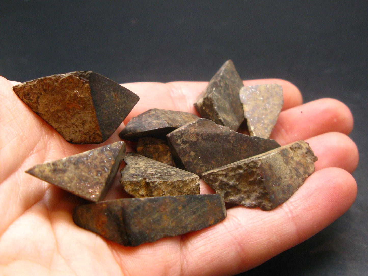 Rare Lot Of 10 Chondrite Meteorite Stones From Africa - 42.65 Grams