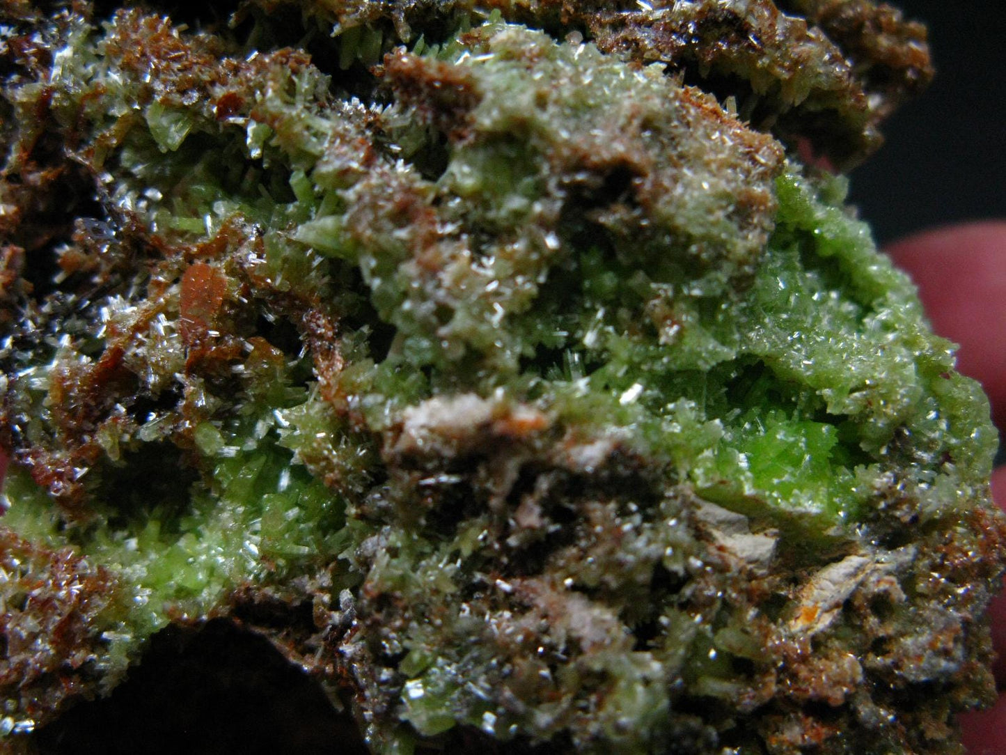 Very Nice Rare Pyromorphite cluster from China - 3.3" - 308 Grams