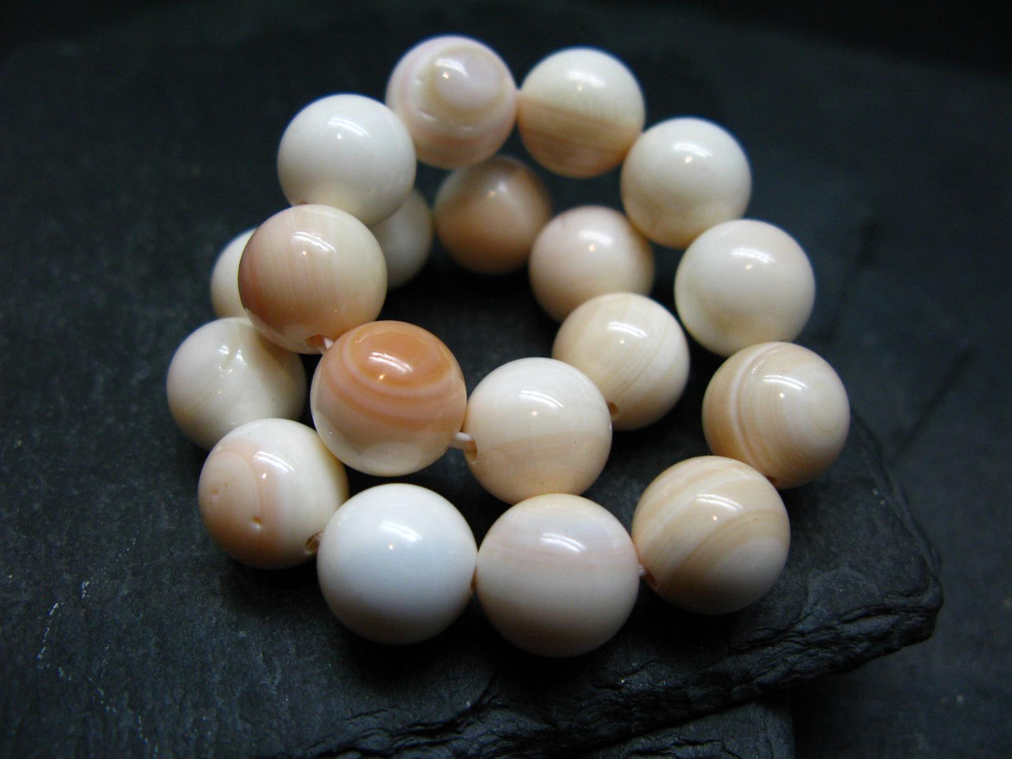 Conch Shell Genuine Bracelet ~ 7 Inches ~ 10mm Round Beads