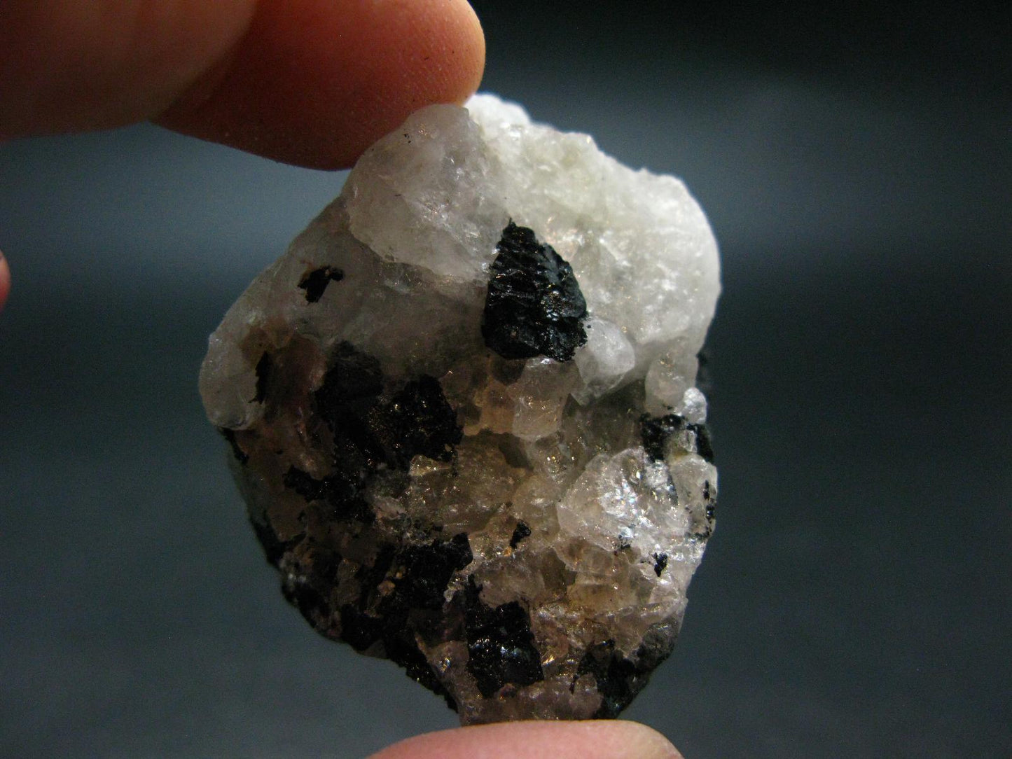 Fine Black Tourmaline In Quartz Crystal From Brazil - 1.8"