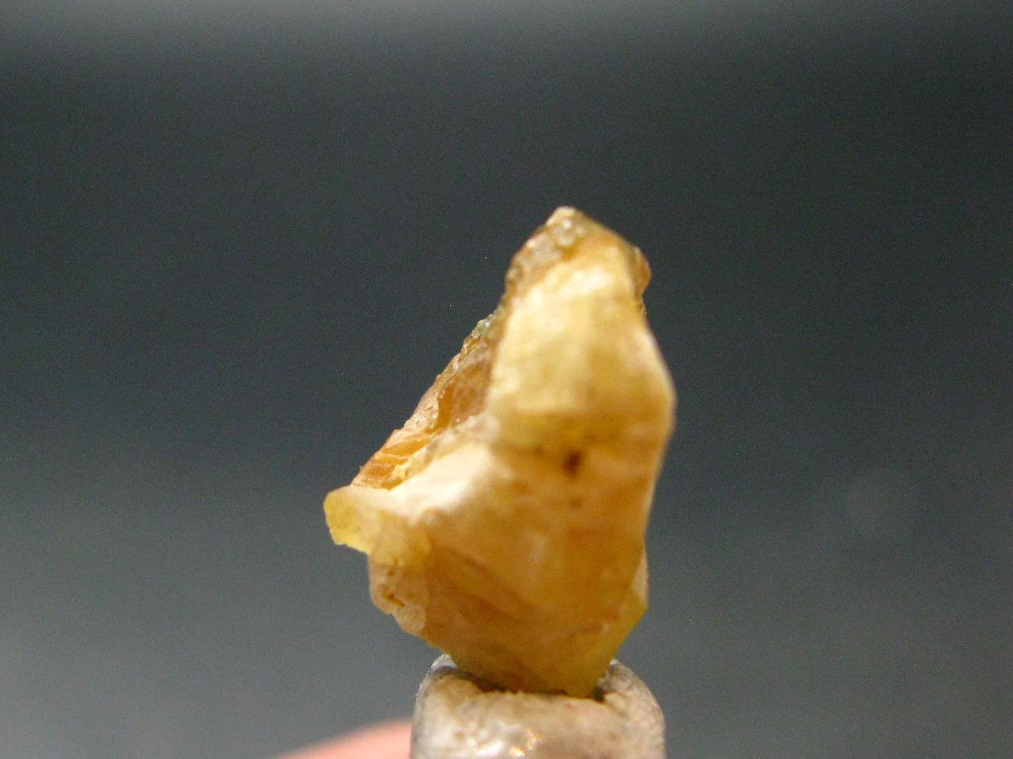 Rhodizite Rhodozite Crystal From Madagascar - 6.55 Carats - 0.5"