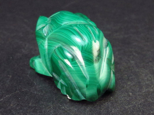 Rich Vivid Vibrant Green Malachite Frog Carving From Congo - 1.3" - 29.0 Grams
