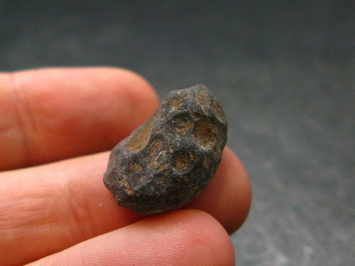 Rare Saffordite Cintamani Stone Pseudotektite Piece from Arizona USA - 12.45 Carats - 0.7"