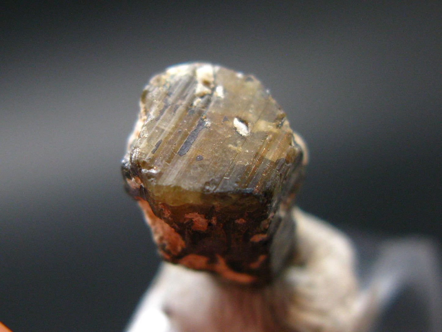 Stibio Tantalite Crystal From Brazil - 0.4" - 9.85 Carats