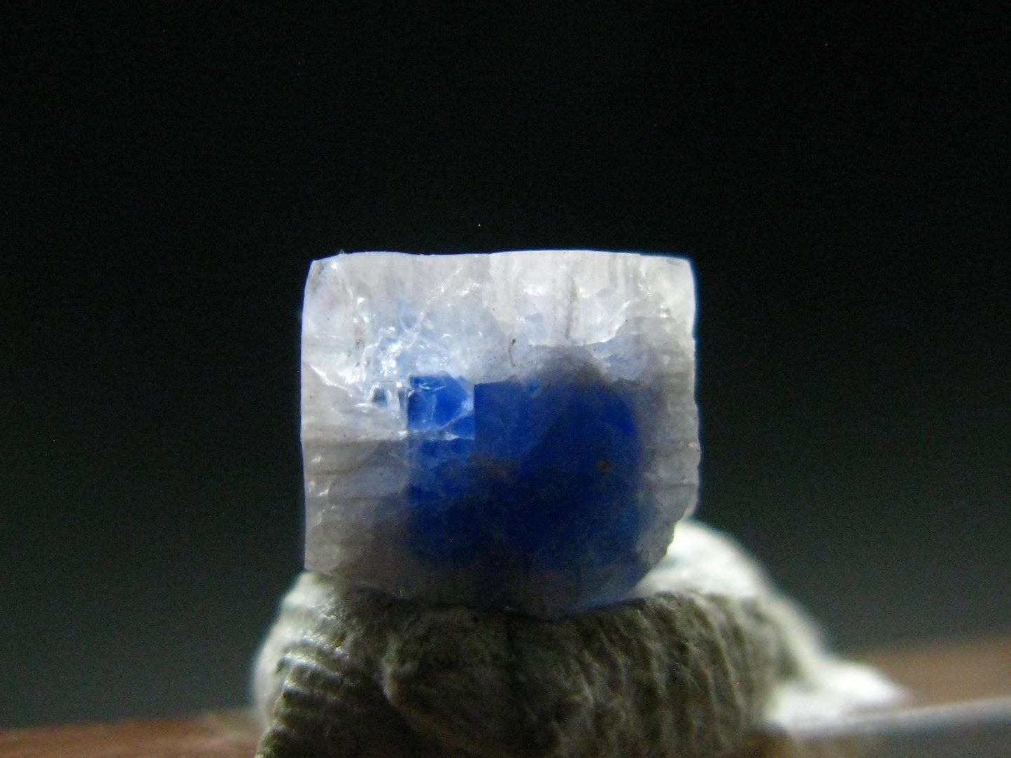 Fine Rare Carletonite Crystal From Mt. St. Hilaire Canada - 0.4" - 0.28 Grams
