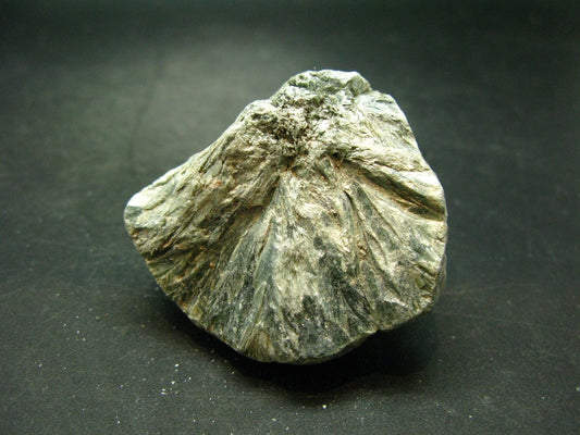 Rare Raw Polished Seraphinite Clinochlore Angels Wings Piece From Russia - 2.1"