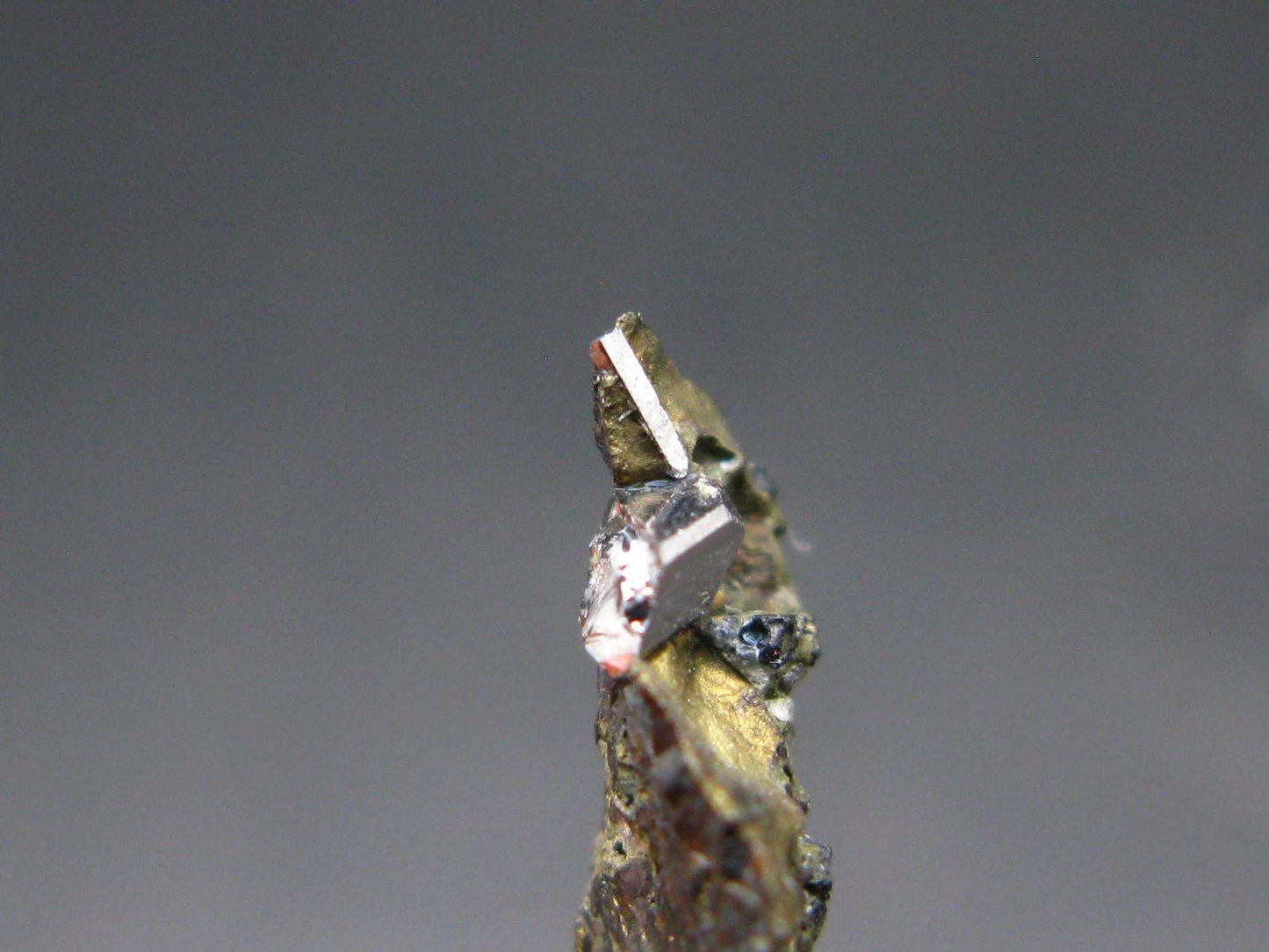 Sperrylite Crystal On Matrix From Russia - 0.7" - 3mm Crystal