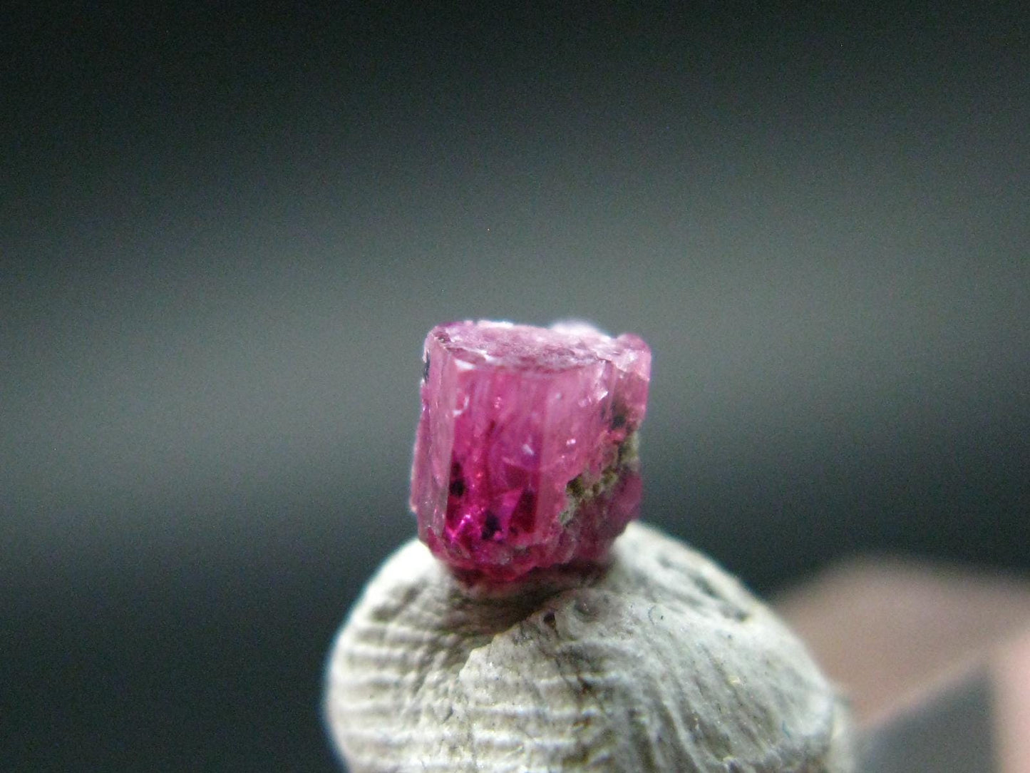 Nice Rare Gem Bixbite Red Emerald Beryl Crystal From Utah USA - 0.36 Carats