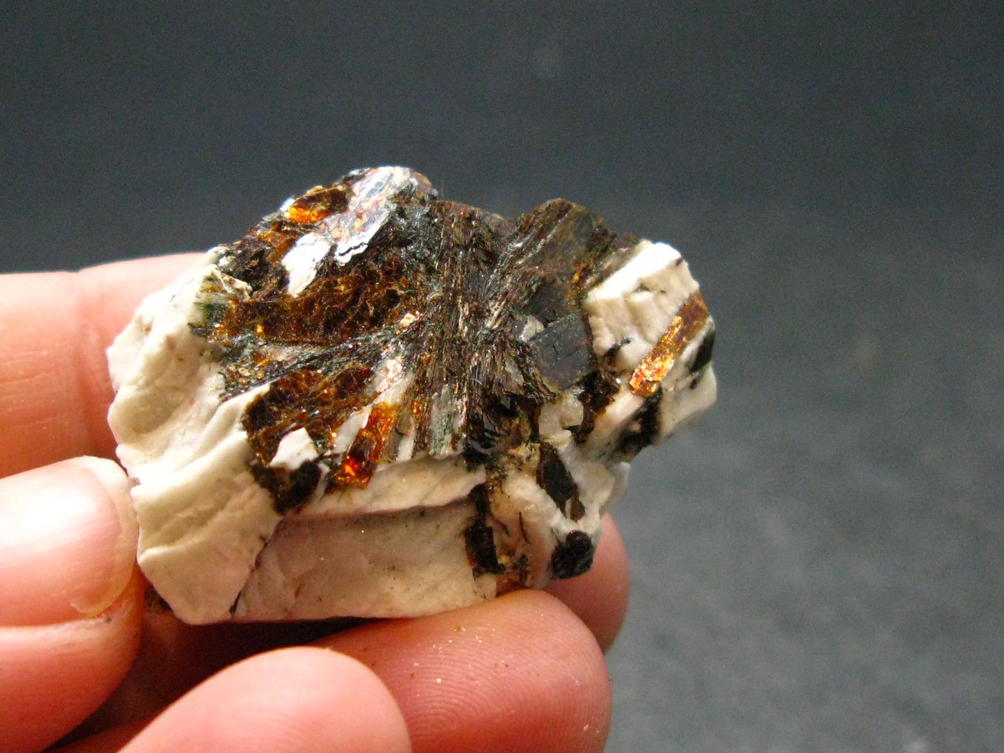 Astrophylite Astrophyllite Cluster From Russia - 1.4" - 312.21 Grams