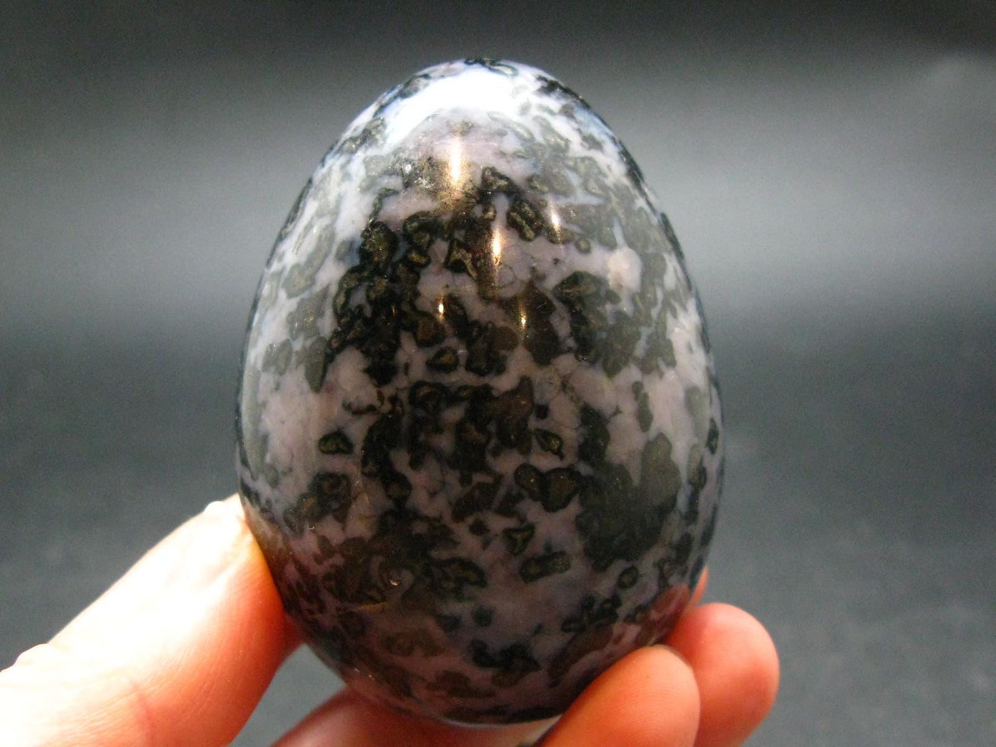 Rare Gabbro Mystic Merlinite Egg from Indian Ocean - 2.8" - 246.45 Grams