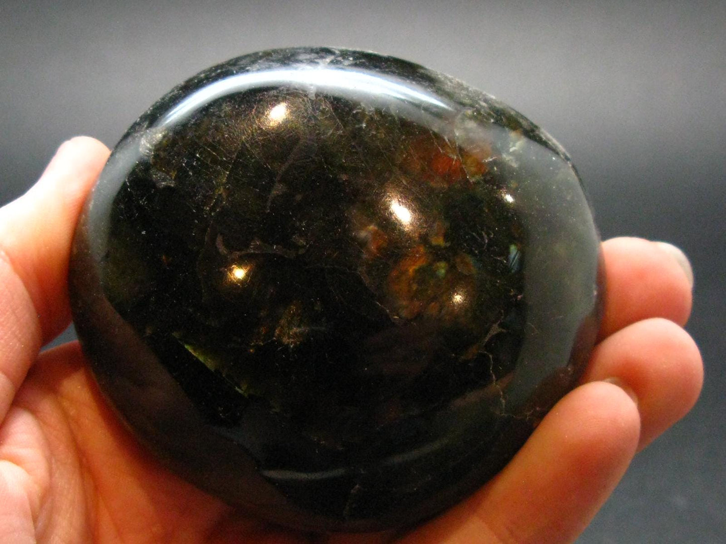 Labradorite Polished Stone from Madagascar - 2.5"