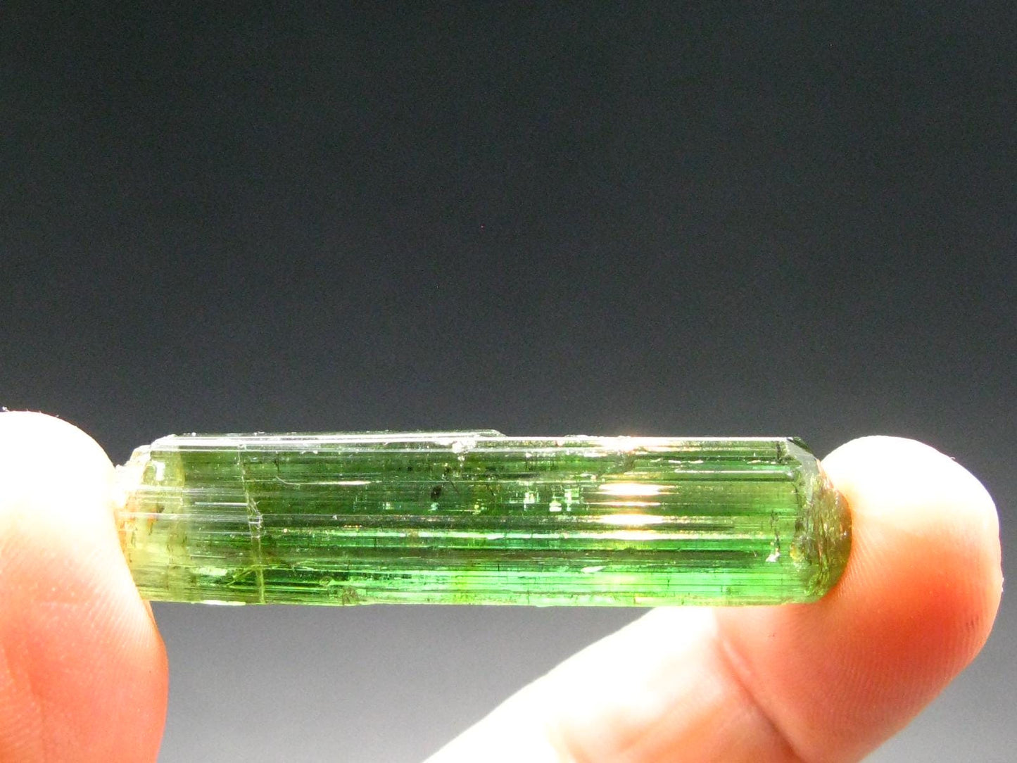 Green Tourmaline Crystal From Brazil - 1.6" - 36.35 Carats