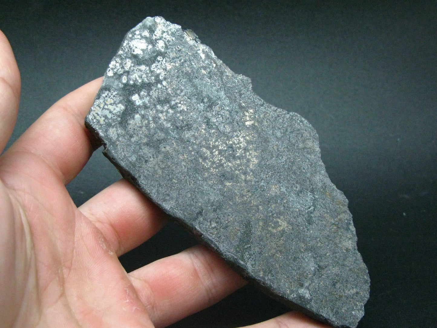 Silver Slab From Canada - 4.5"