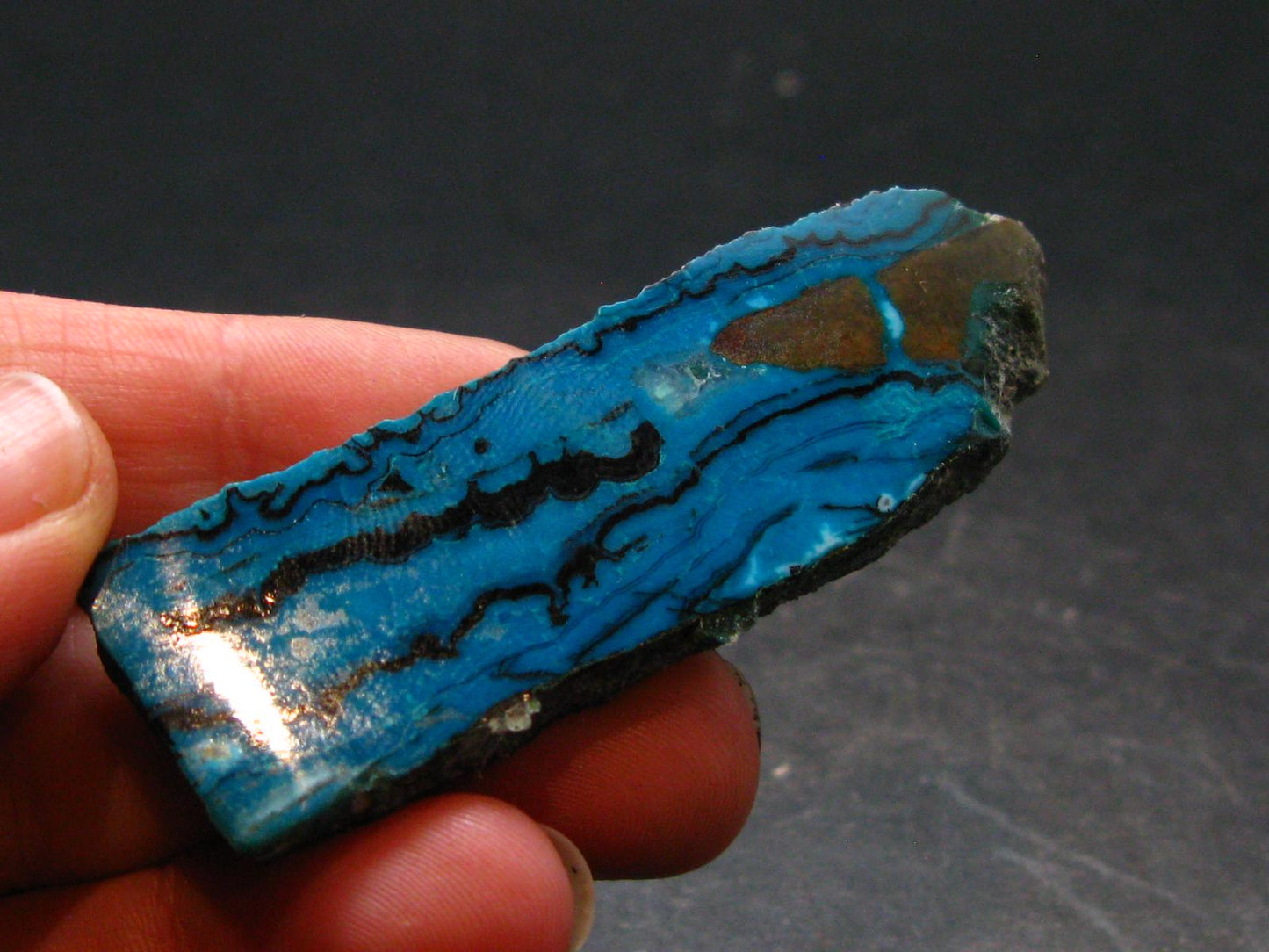 Chrysocola Slab from Arizona - 2.3" - 13.68 Grams
