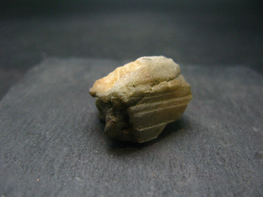 Phenakite Phenacite Raw Crystal From Brazil - 58.55 Carats - 0.9"