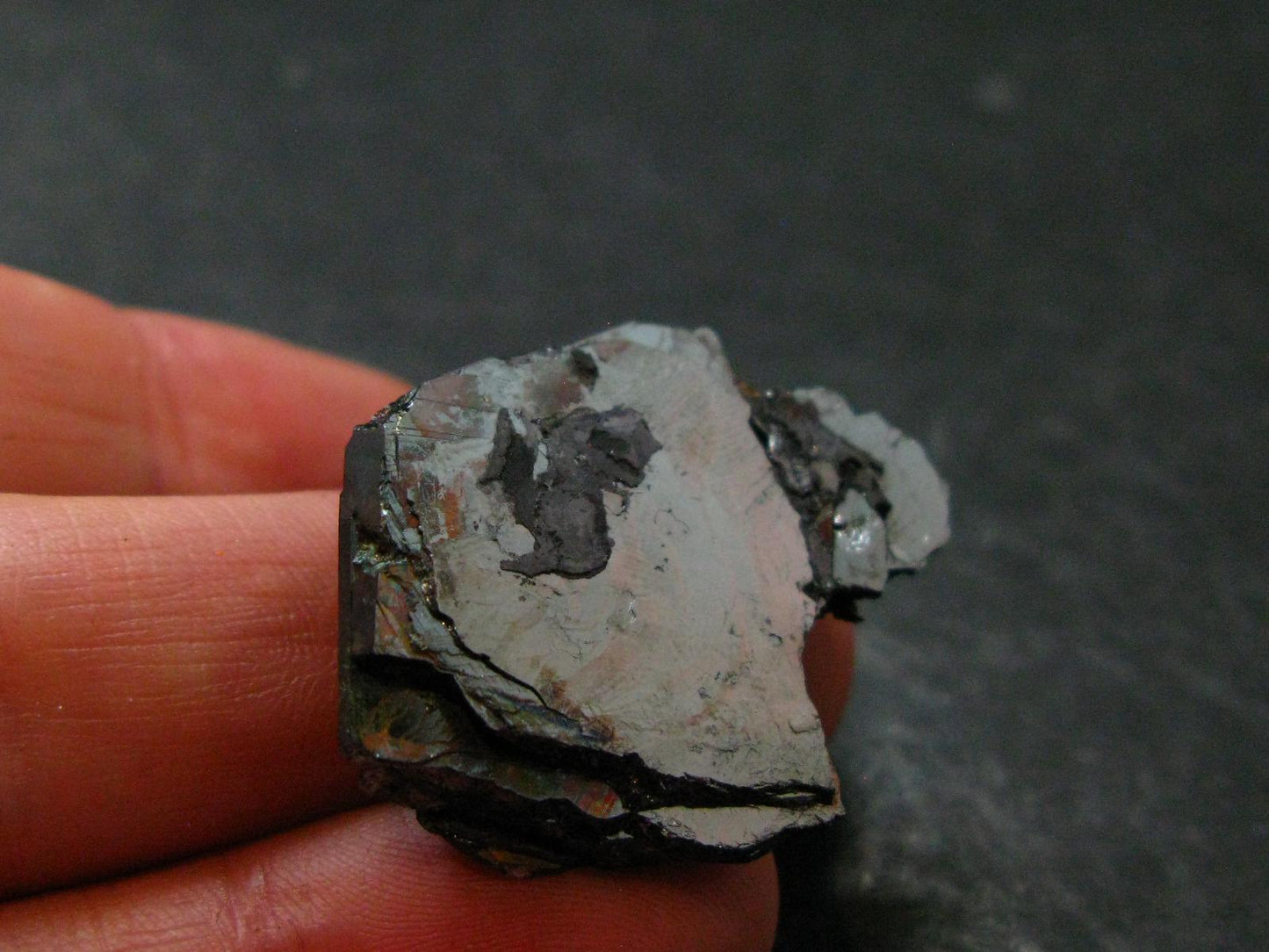 Natural Hematite "Iron Rose" from Brazil - 1.3" - 11.85 Grams